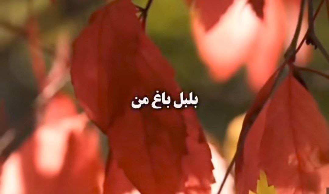 بلبل باغ من شیرین زبون یار من هایده هوش مصنوعی